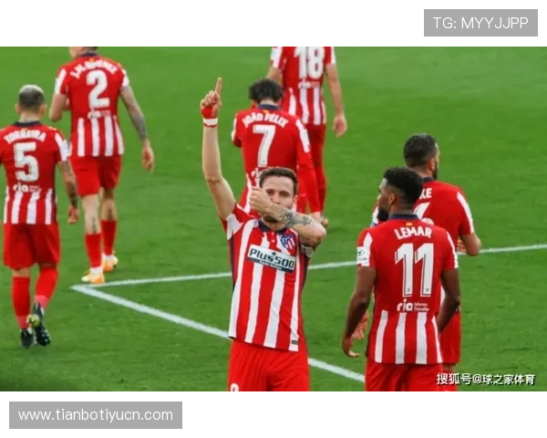 博冠体育平台常见问题解答：解决新手与老用户的疑问提升使用效率